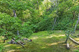 245 Sunrise Valley Rd, Blue Ridge, GA 30513 - Photo 42