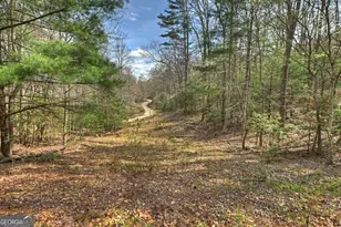57 Meadow Hl, Morganton, GA 30560 - Photo 32