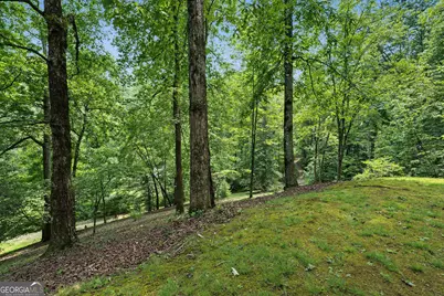 4616 &amp; 4237 Crow Creek Road, Lakemont, GA 30552 - Photo 150