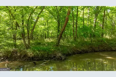 0 Highway 54 & Bear Creek Road #120.92+/- ACRES, Moreland, GA 30259 - Photo 2
