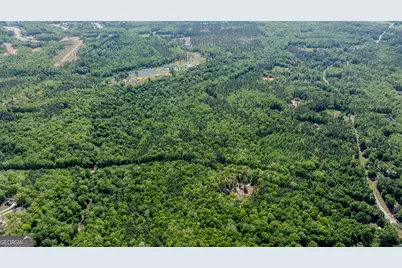 0 Highway 54 & Bear Creek Road #120.92+/- ACRES, Moreland, GA 30259 - Photo 6