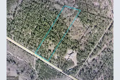 0 Pollett Road #LOT 29, Bartow, GA 30413 - Photo 4
