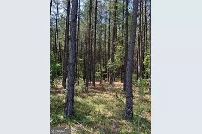 0 Pollett Road #LOT 29, Bartow, GA 30413 - Photo 2