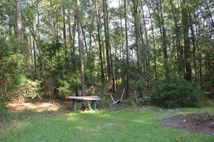 2489 Mosley Rd, Claxton, GA 30417 - Photo 28