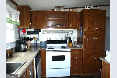 2489 Mosley Road, Claxton, GA 30417 - Photo 2