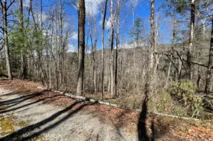 0 Bridge Creek Rd, Tiger, GA 30576 - Photo 1