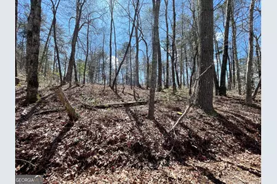 0 Bridge Creek Road, Tiger, GA 30576 - Photo 2
