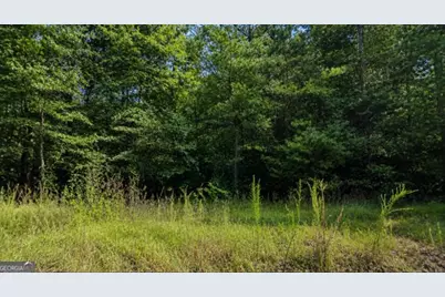 0 Roaring Forks Lane, Ellijay, GA 30540 - Photo 4