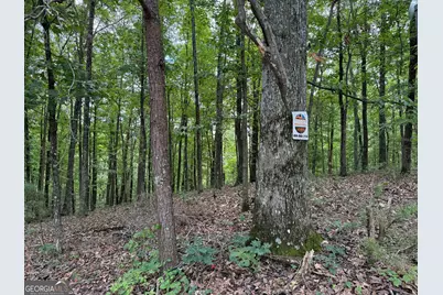 Lot 1065 Mayfield Lane, Ranger, GA 30734 - Photo 12