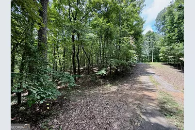 Lot 1065 Mayfield Lane, Ranger, GA 30734 - Photo 2