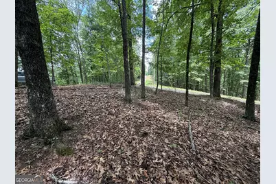 Lot 1065 Mayfield Lane, Ranger, GA 30734 - Photo 10