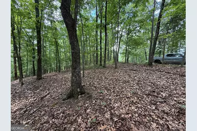 Lot 1065 Mayfield Lane, Ranger, GA 30734 - Photo 8