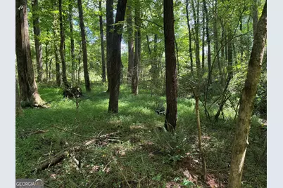 5420 Cantrell Road, Dawsonville, GA 30534 - Photo 8