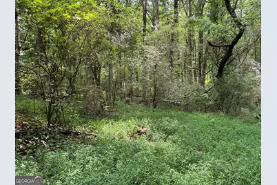 5420 Cantrell Road, Dawsonville, GA 30534 - Photo 6