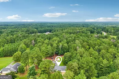 579 Al Roberts Road, Senoia, GA 30276 - Photo 34