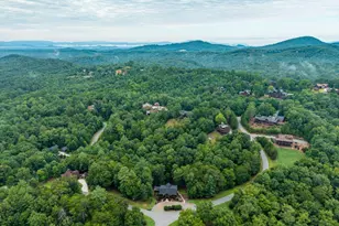350 Kensington Dr, Mineral Bluff, GA 30559 - Photo 70