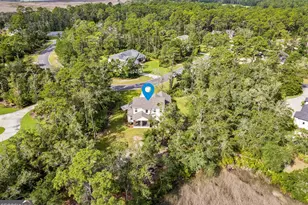 167 Bluebill Trail, Brunswick, GA 31523 - Photo 38
