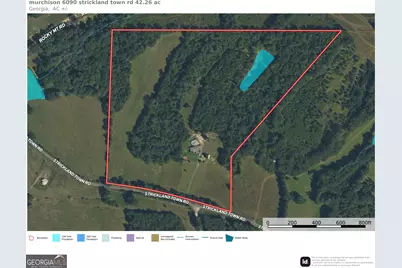 6090 Strickland Town Road, Luthersville, GA 30251 - Photo 2