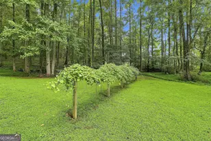 413 Lees Mill Rd, Fayetteville, GA 30214 - Photo 40