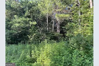 7154 Old Highway 411, Chatsworth, GA 30705 - Photo 6