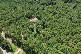 3553 Parham Town Rd, Bowman, GA 30624 - Photo 6