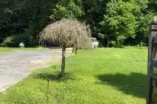 2169 Silver Hill Rd, Summerville, GA 30747 - Photo 12