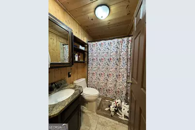 113 Biddy Mtn Lane, Tiger, GA 30576 - Photo 26