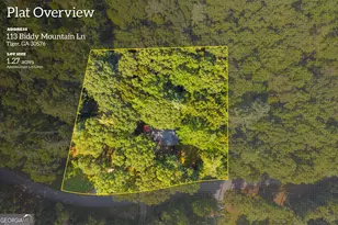 113 Biddy Mountain Ln, Tiger, GA 30576 - Photo 60