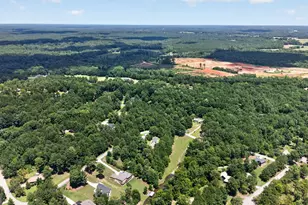1271 Pullman Cir, Greensboro, GA 30642 - Photo 56