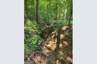0 Millen Road, Monticello, GA 31064 - Photo 14