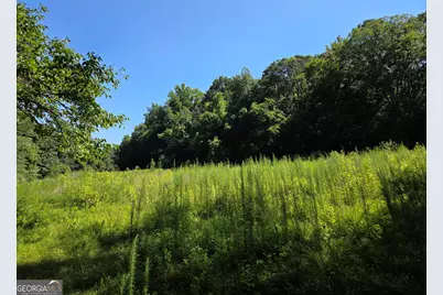 0 Millen Road, Monticello, GA 31064 - Photo 16