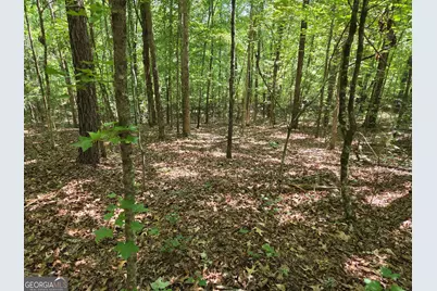 0 Millen Road, Monticello, GA 31064 - Photo 22