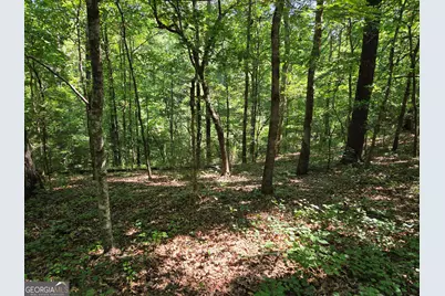 0 Millen Road, Monticello, GA 31064 - Photo 20