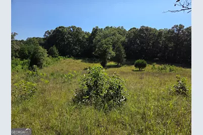 0 Millen Road, Monticello, GA 31064 - Photo 4