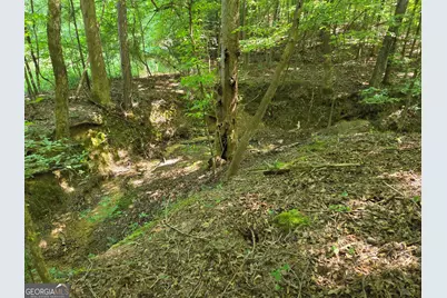 0 Millen Road, Monticello, GA 31064 - Photo 18