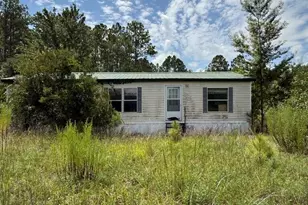 896 Farm Rd, Saint George, GA 31562 - Photo 6