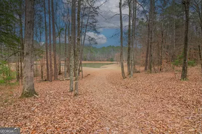1578 Ga Highway 208, Hamilton, GA 31811 - Photo 60