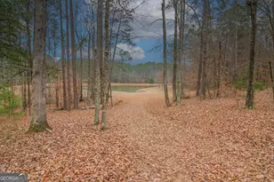 1578 Ga Hwy 208, Hamilton, GA 31811 - Photo 60