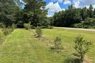 2295 New Bethel Rd, Bartow, GA 30413 - Photo 10