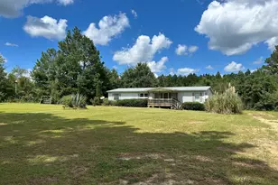 2295 New Bethel Rd, Bartow, GA 30413 - Photo 1