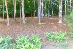 864 Crescent Ln, Griffin, GA 30224 - Photo 32