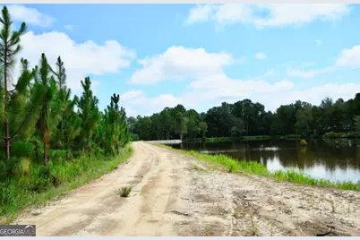 0 Highway 25 S, Waynesboro, GA 30830 - Photo 46