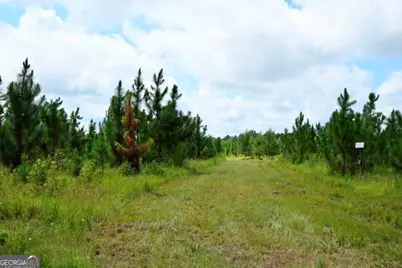 0 Highway 25 S, Waynesboro, GA 30830 - Photo 28