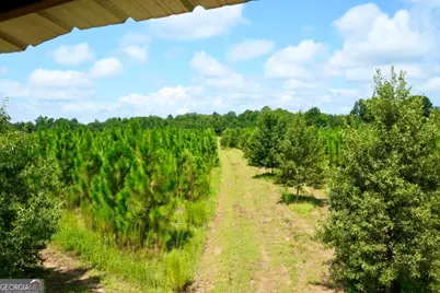 0 Highway 25 S, Waynesboro, GA 30830 - Photo 24