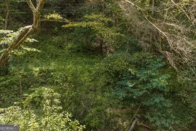 Tract C Hicks Ford Road, Ellijay, GA 30540 - Photo 10