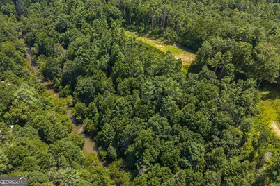 Tract C Hicks Ford Road, Ellijay, GA 30540 - Photo 14