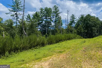 Tract C Hicks Ford Road, Ellijay, GA 30540 - Photo 16