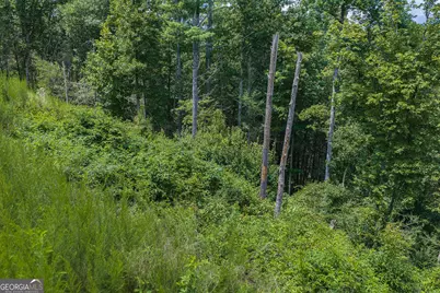 Tract C Hicks Ford Road, Ellijay, GA 30540 - Photo 20