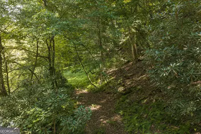 Tract C Hicks Ford Road, Ellijay, GA 30540 - Photo 8