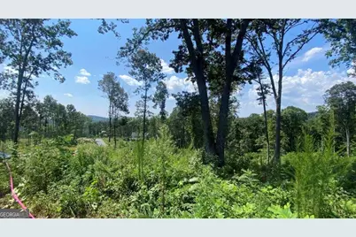 1084 Highgrove Drive #276, Talking Rock, GA 30175 - Photo 12